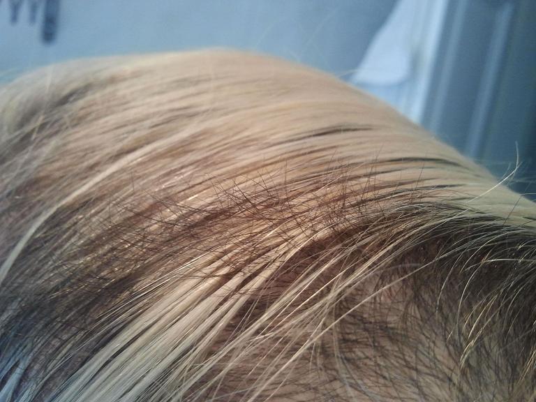 index.php/fa/1153/0/