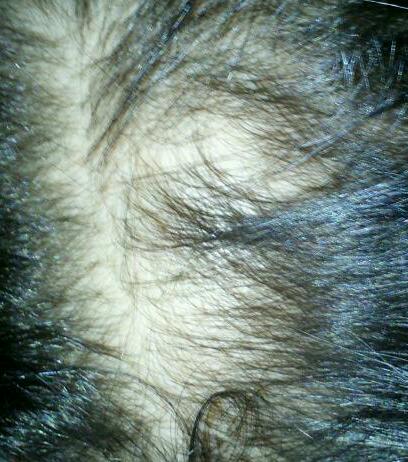 index.php/fa/1315/0/