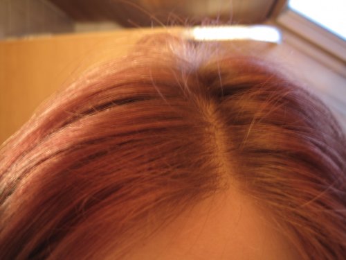 index.php/fa/1385/0/