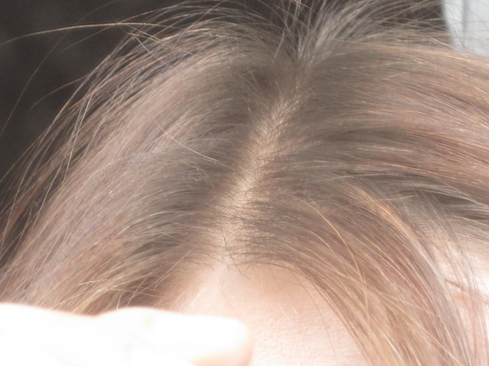 index.php/fa/1869/0/