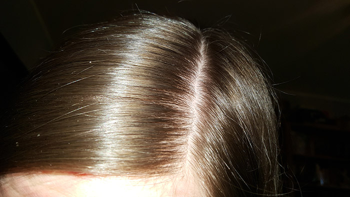 index.php/fa/2542/0/