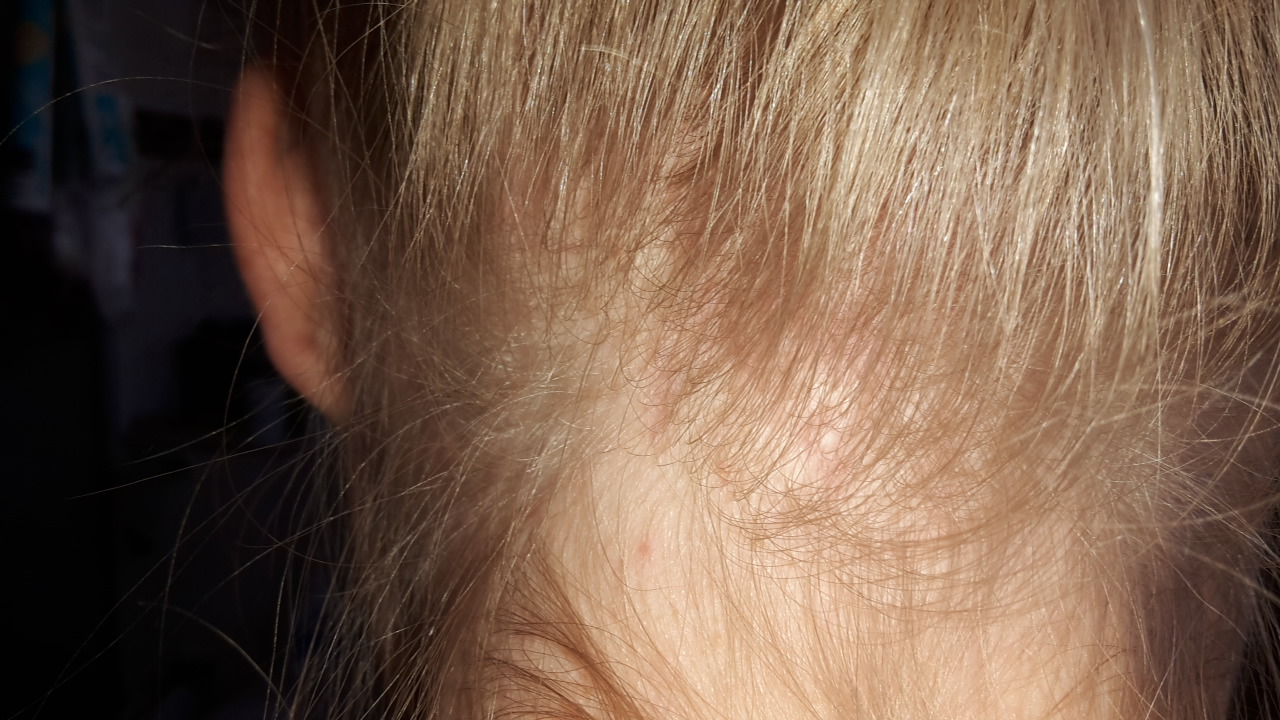 index.php/fa/2684/0/