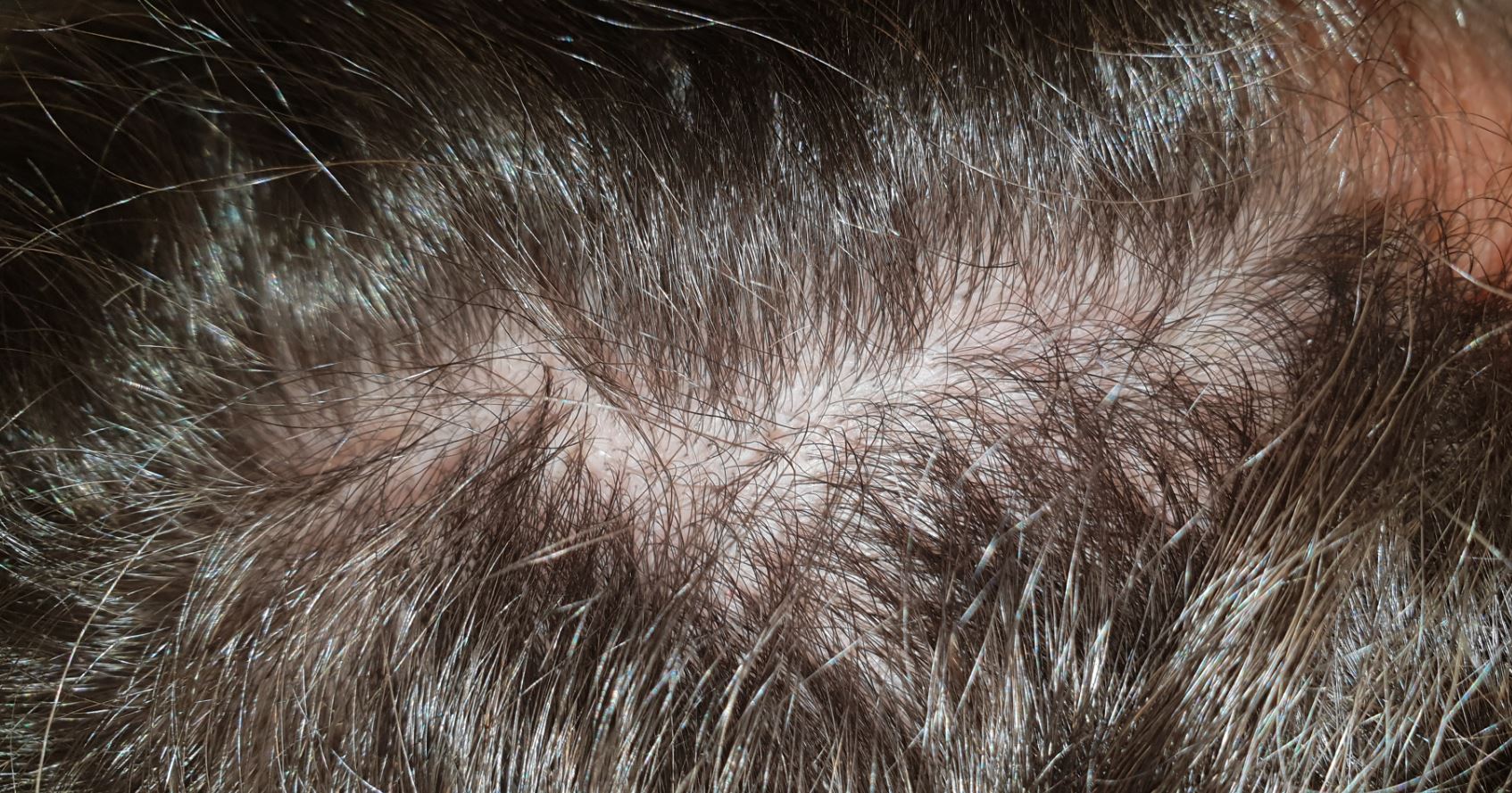 /foren/frauen/index.php/fa/2814/0/