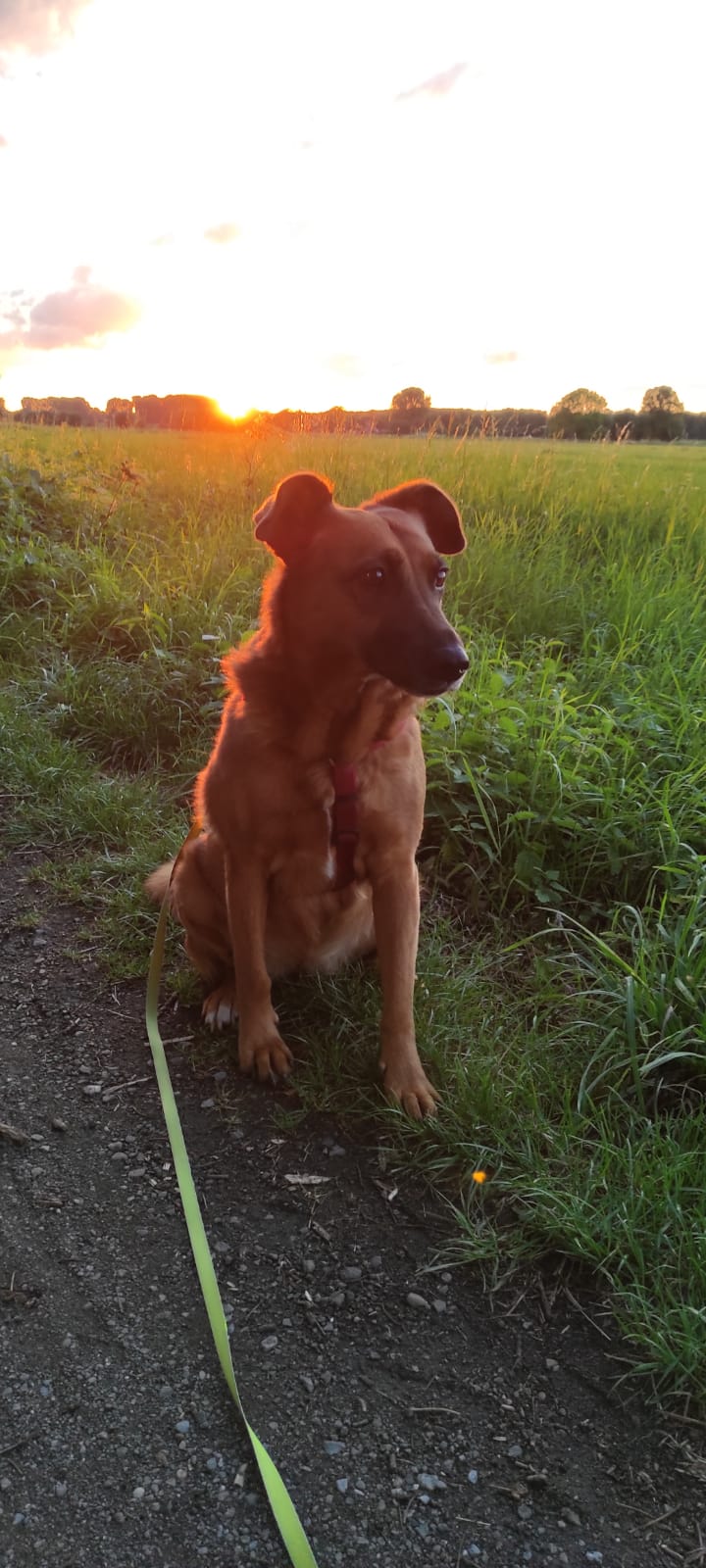 /foren/test/index.php/fa/1/0/