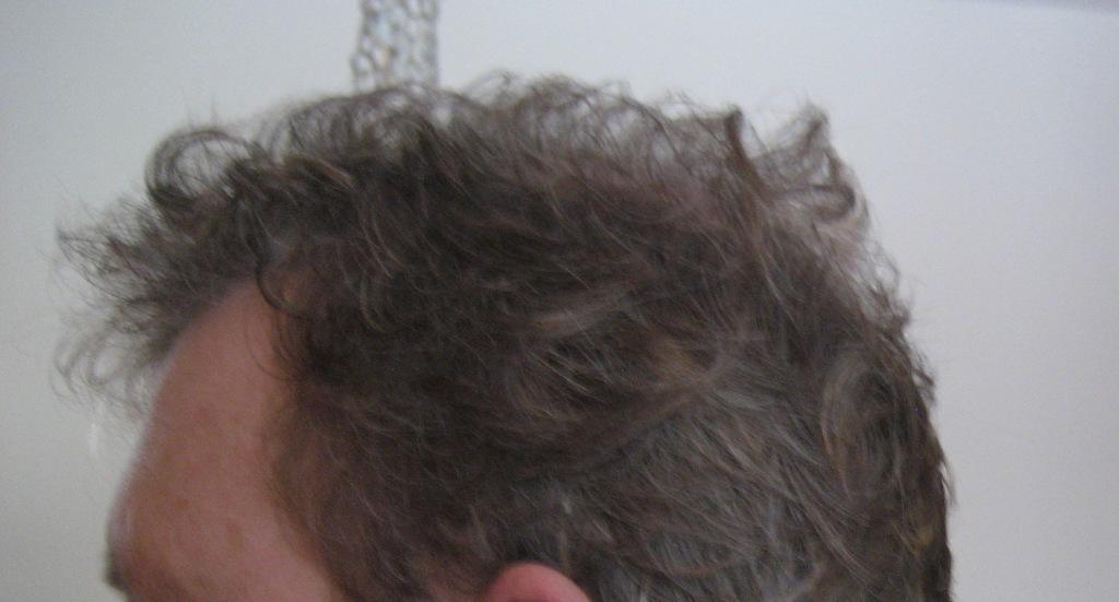 index.php/fa/10141/0/