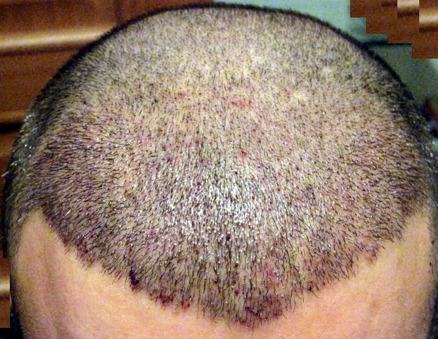 index.php/fa/10573/0/