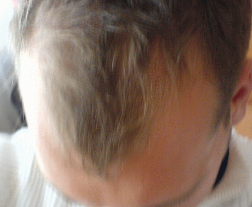 index.php/fa/1108/0/