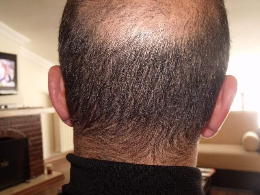 index.php/fa/11840/0/