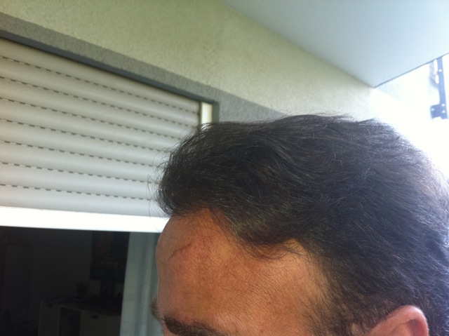 index.php/fa/12100/0/