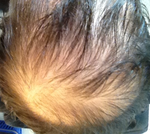 index.php/fa/12466/0/