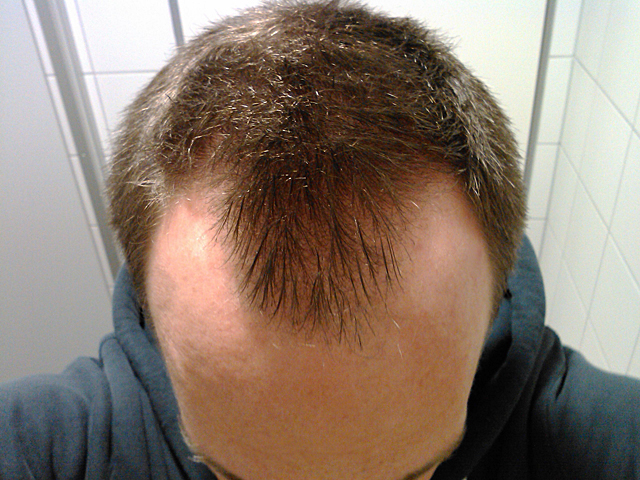 index.php/fa/12505/0/