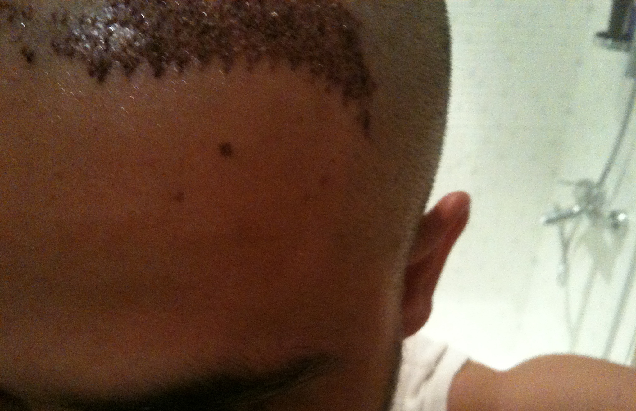 index.php/fa/12518/0/