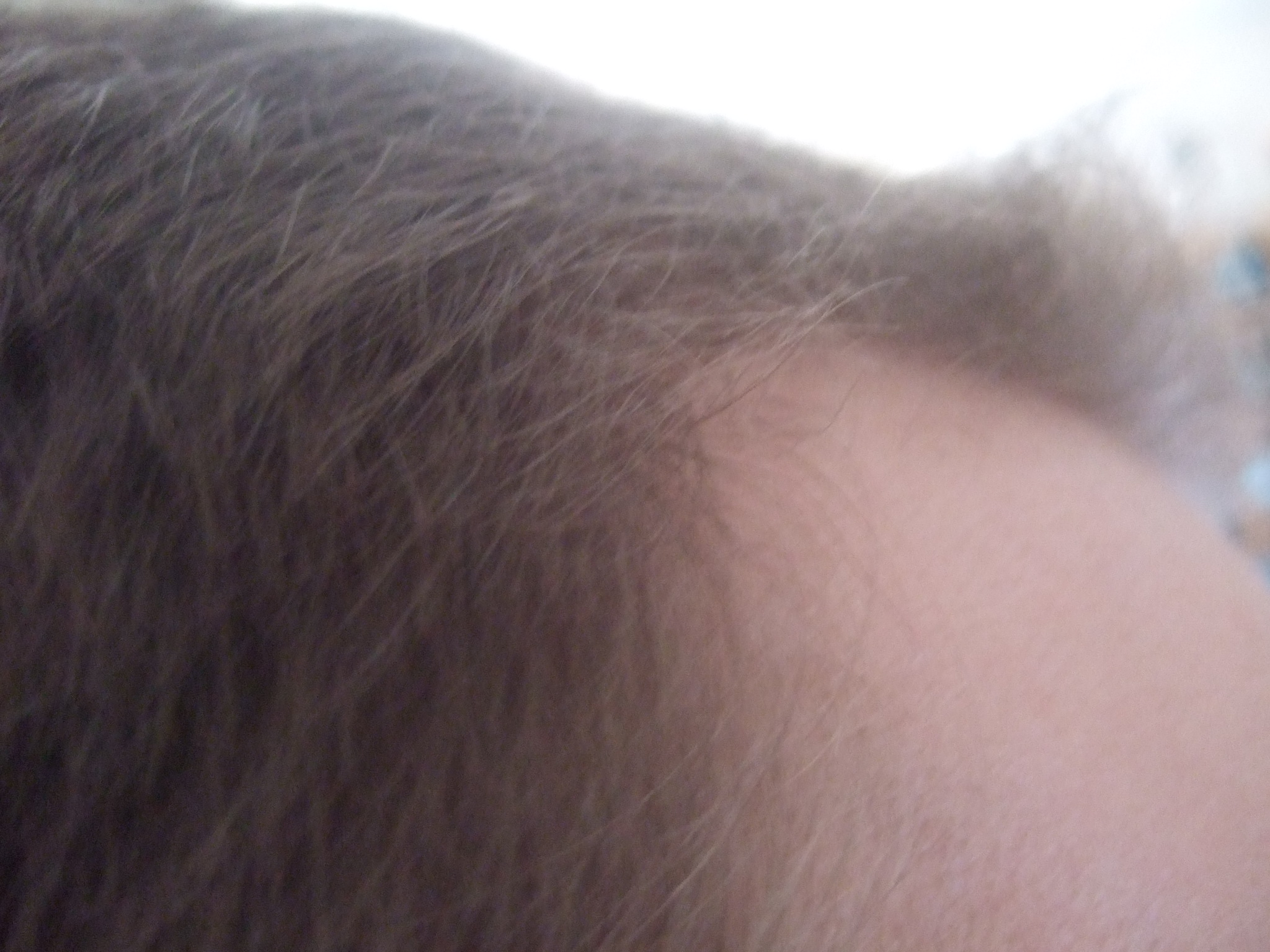 index.php/fa/1282/0/