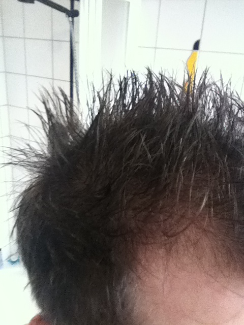 index.php/fa/12835/0/