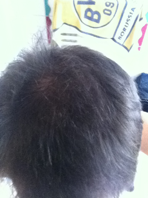 index.php/fa/12836/0/