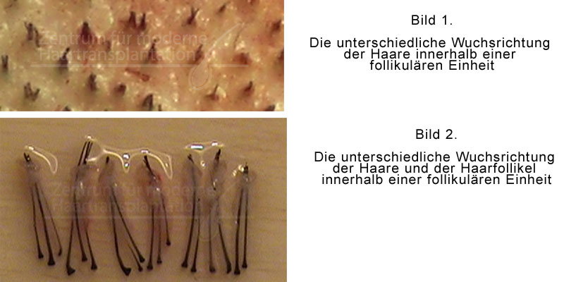 index.php/fa/13169/0/