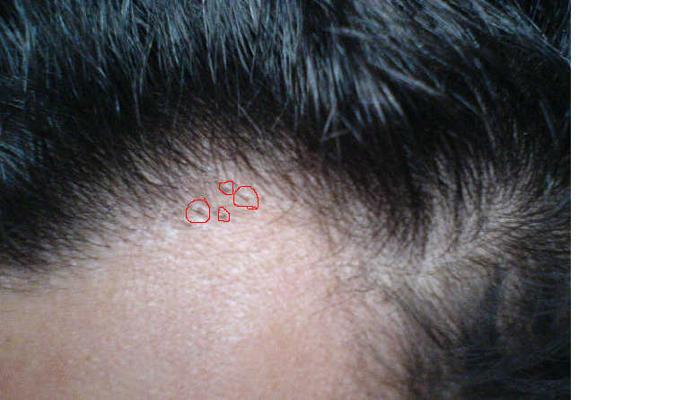 index.php/fa/1351/0/