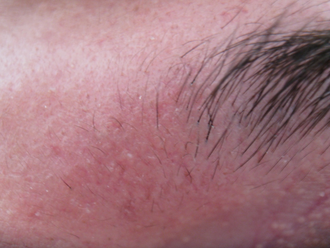 index.php/fa/13682/0/