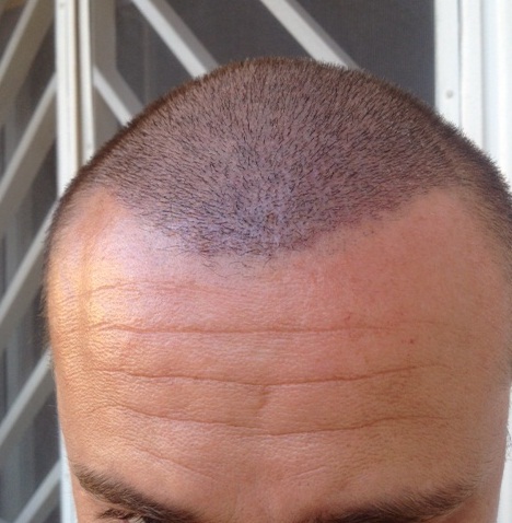 index.php/fa/13997/0/