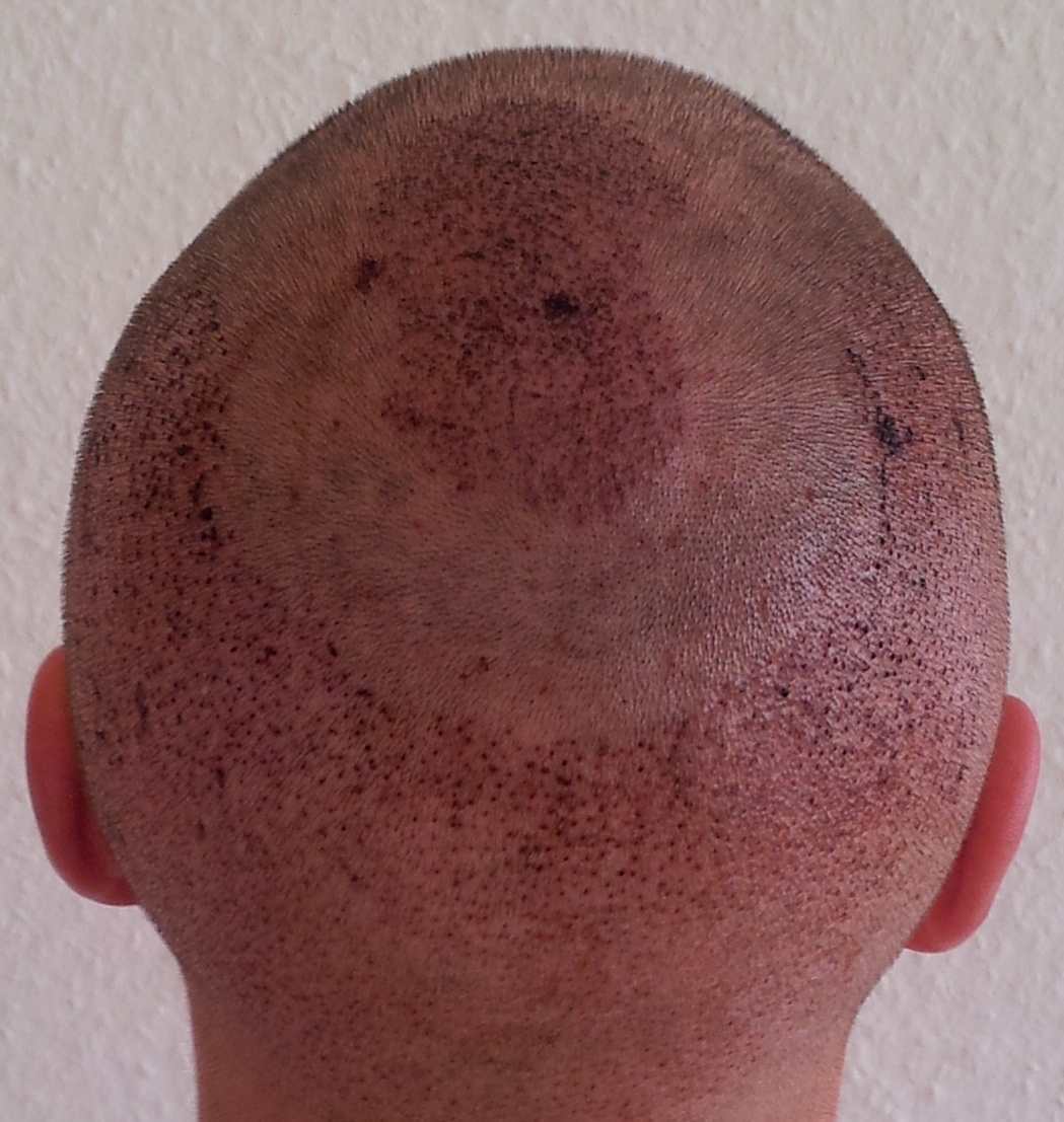 index.php/fa/14246/0/