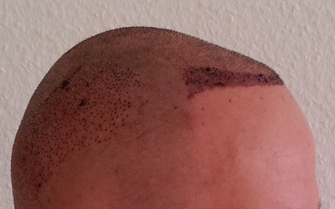 index.php/fa/14247/0/