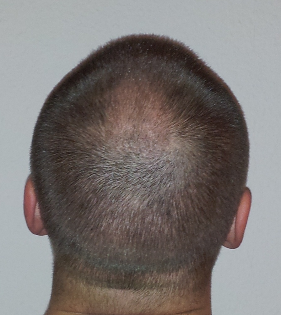 index.php/fa/14280/0/