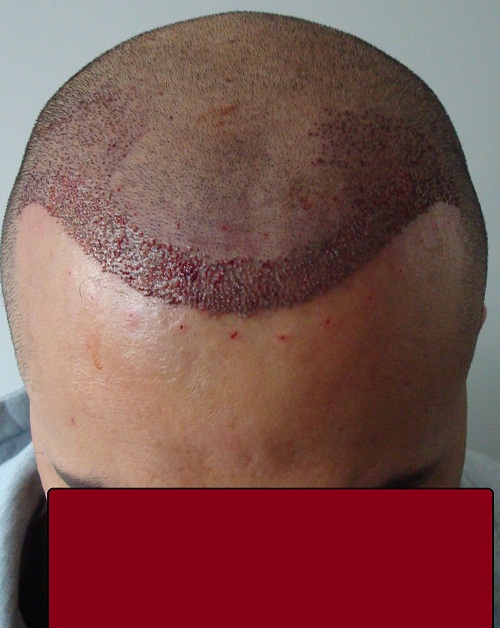 index.php/fa/14400/0/