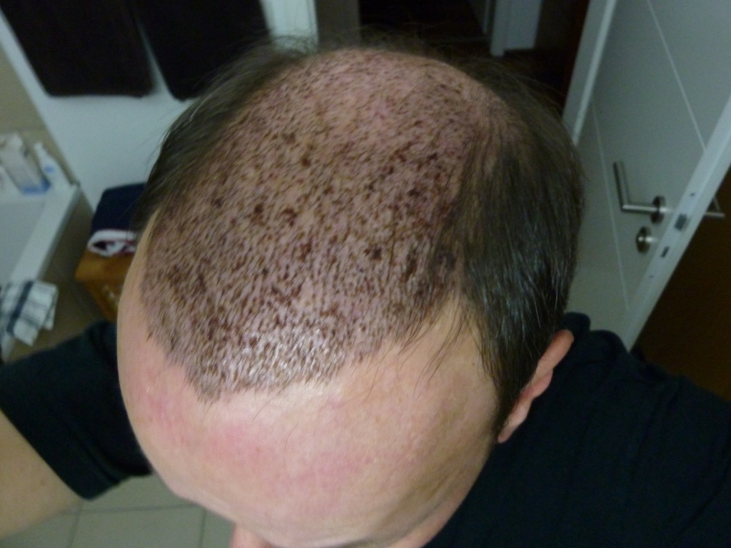 index.php/fa/14411/0/