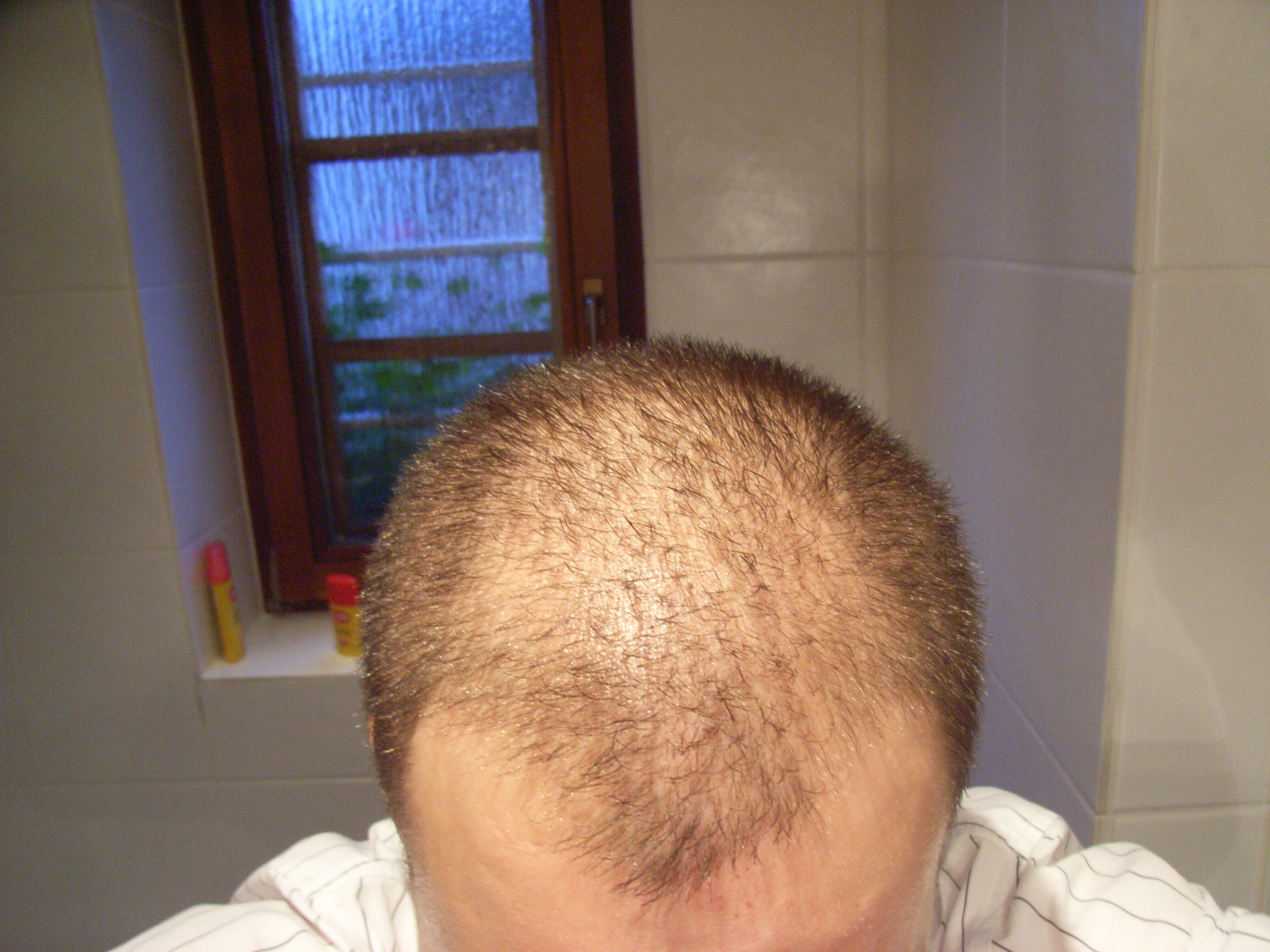 index.php/fa/1447/0/