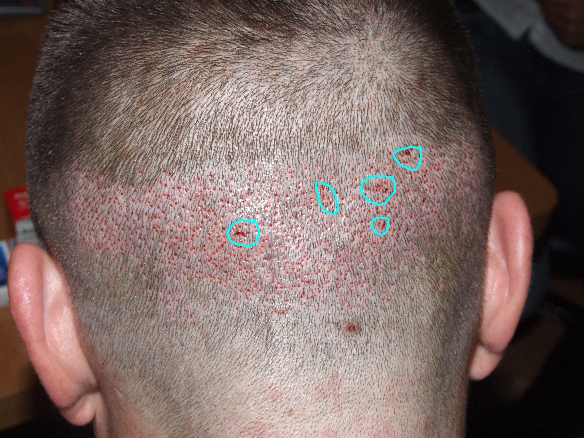 index.php/fa/1481/0/