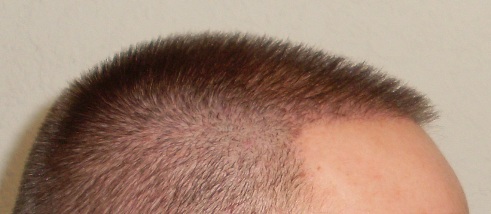 index.php/fa/15330/0/