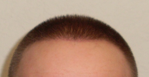 index.php/fa/15331/0/