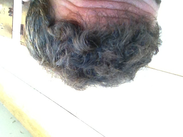 index.php/fa/16010/0/