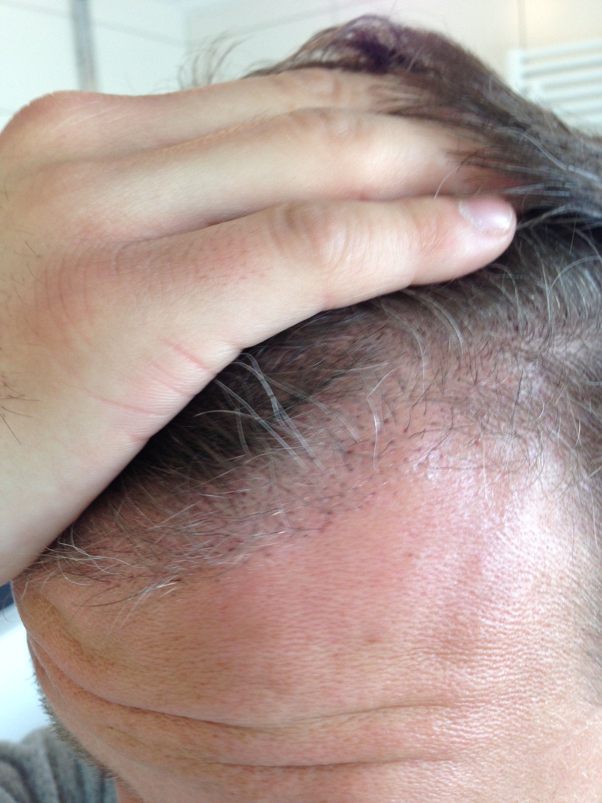 index.php/fa/16175/0/