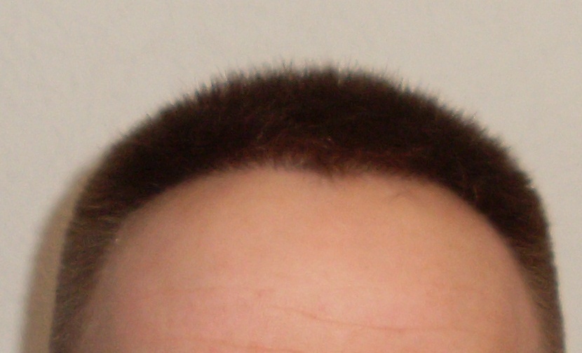 index.php/fa/16176/0/