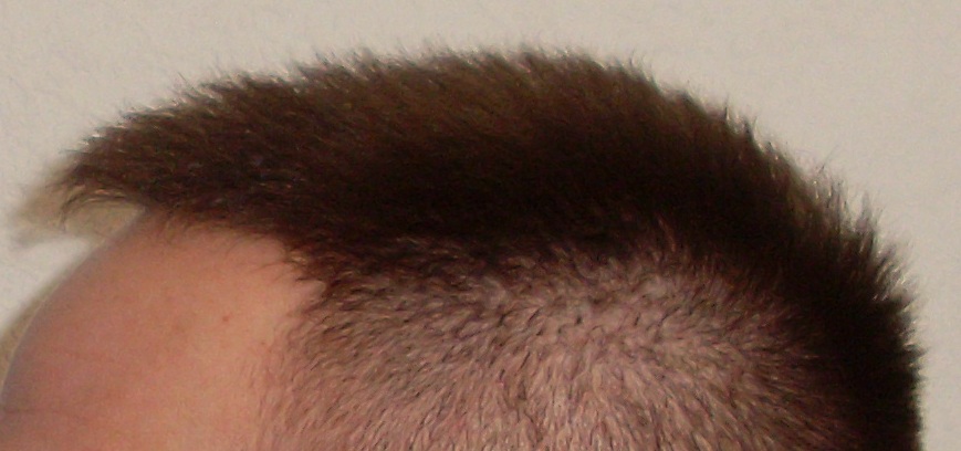 index.php/fa/16177/0/