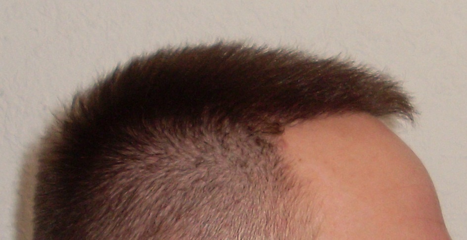 index.php/fa/16178/0/