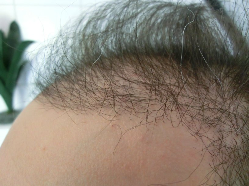 index.php/fa/16181/0/