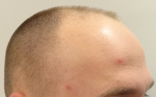 index.php/fa/16216/0/