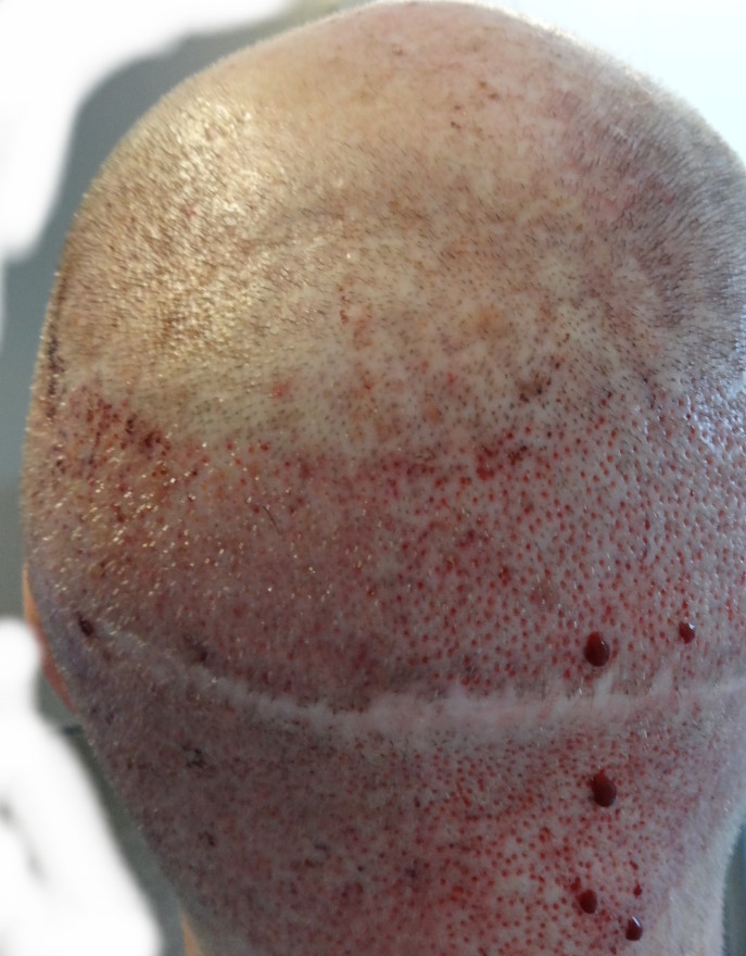 index.php/fa/16290/0/