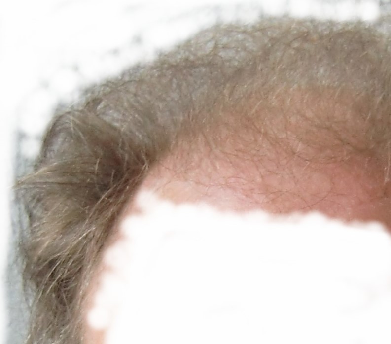 index.php/fa/16294/0/