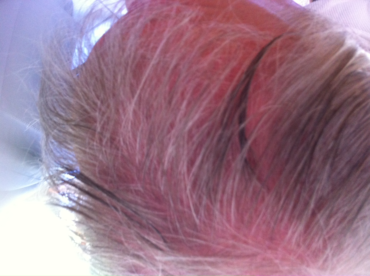 index.php/fa/16300/0/