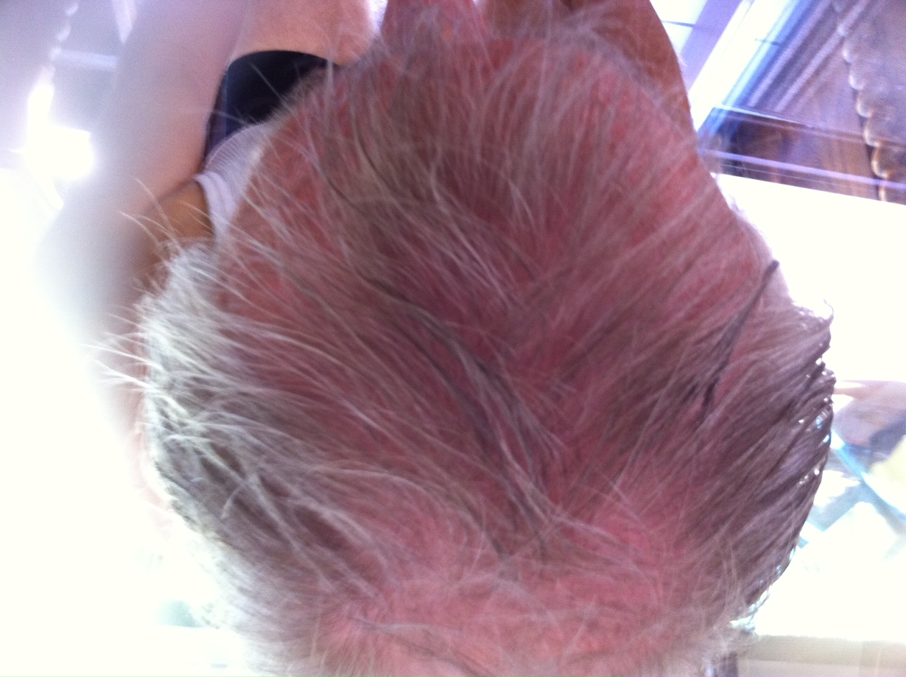 index.php/fa/16301/0/