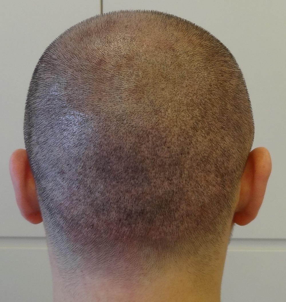 index.php/fa/16380/0/