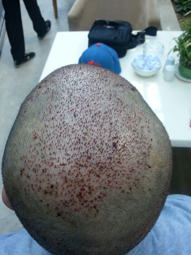 index.php/fa/16452/0/