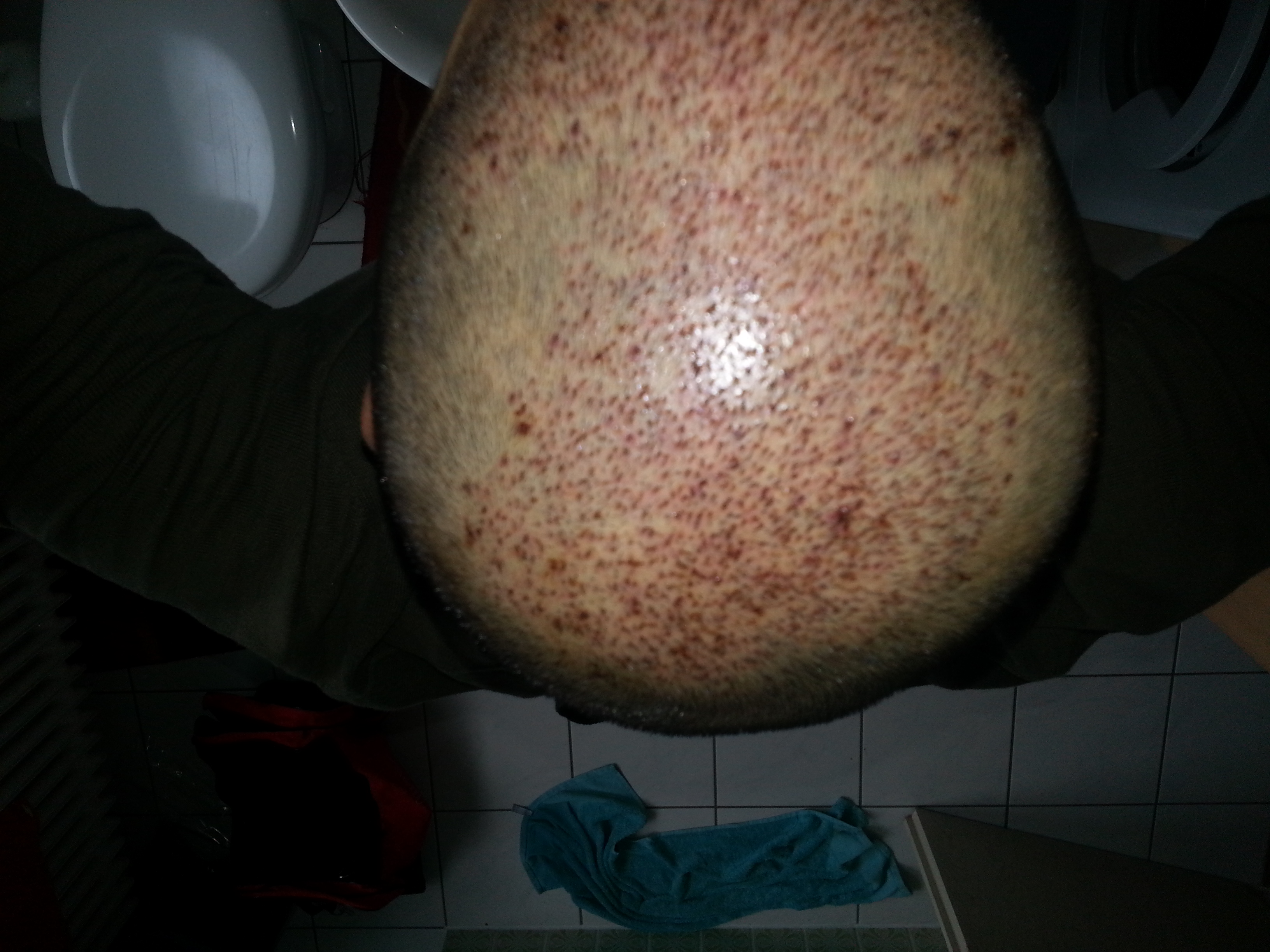 index.php/fa/16503/0/