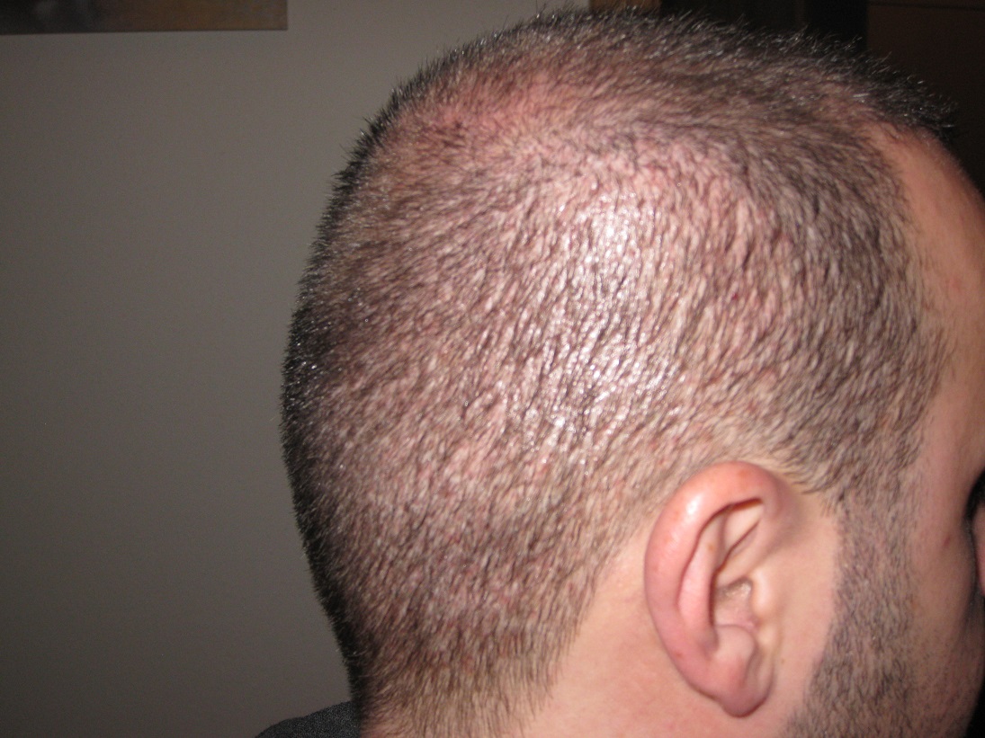 index.php/fa/16752/0/