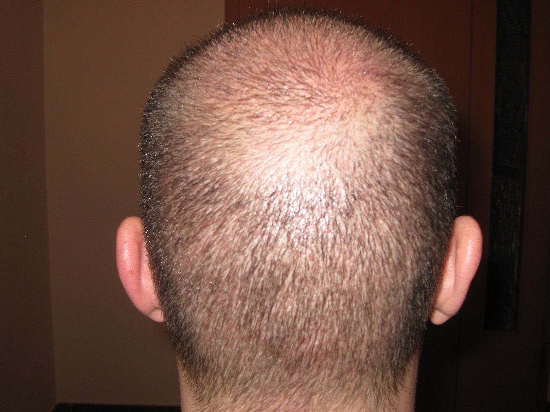 index.php/fa/16753/0/