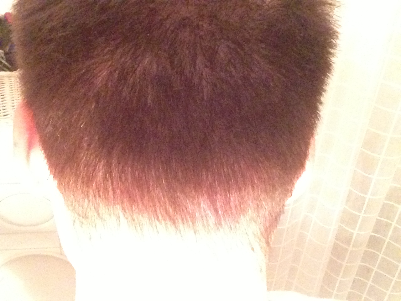 index.php/fa/17090/0/