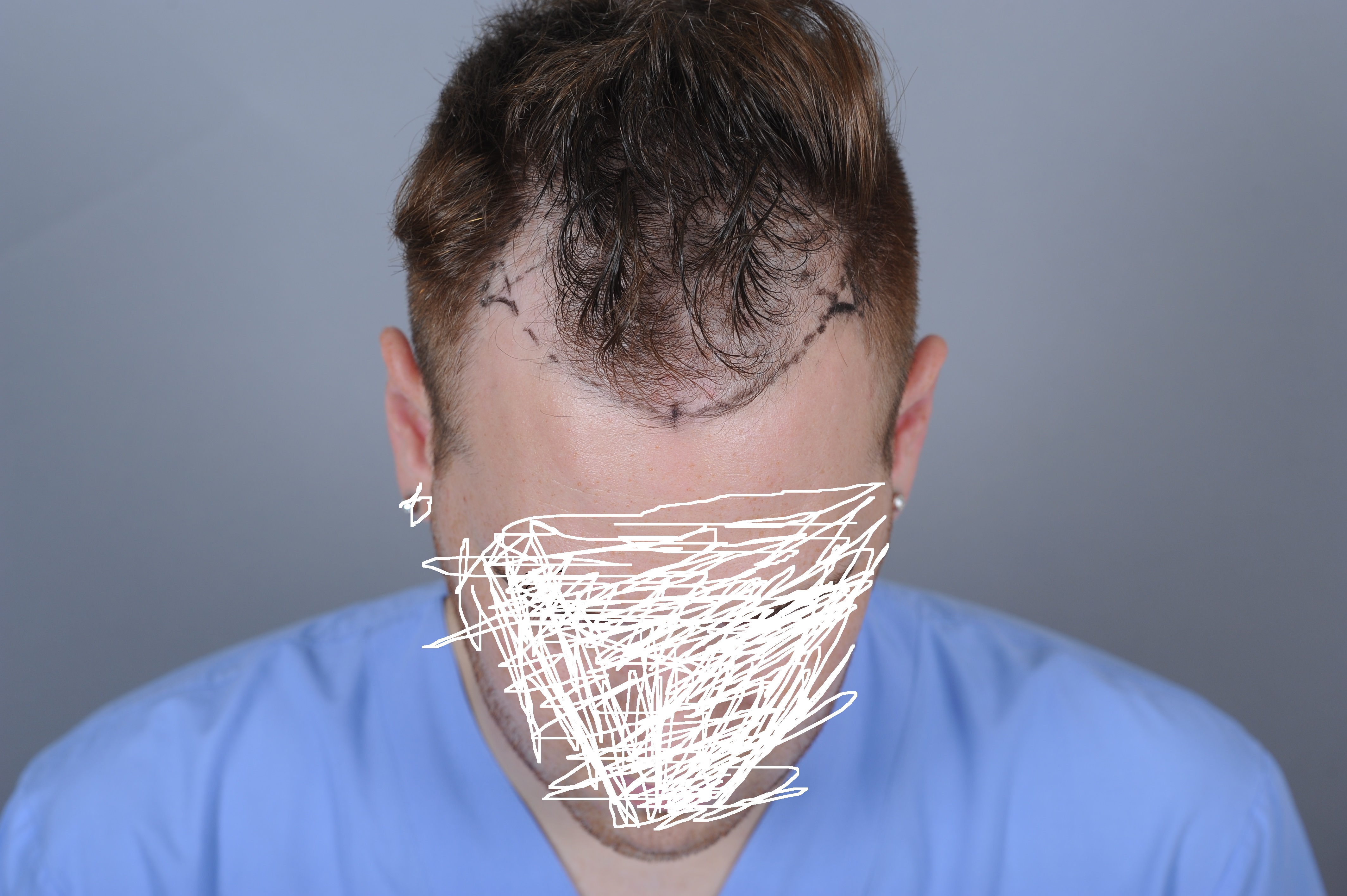 index.php/fa/17456/0/